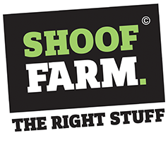 Shoof International
